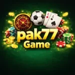 pak77 game